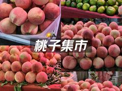 -云龙山