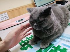 -瑞派宠物医院·24h·骨外科·皮肤科·全科宠物医疗转诊中心(沈阳浑南院)