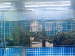 -星记小馆·小蓝龙·老南京砂锅菜(上海路店)