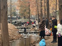 -白水寺森林公园