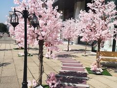 -大洋晶典(东街店)