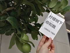 -fishtank鱼缸咖啡(三山街店)