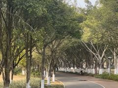 -南宁花花大世界景区