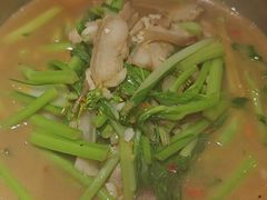 -龙师傅卤炒(天马店)