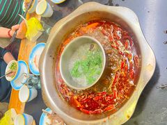 -金鼎雪山牦牛杂火锅(理县总店)