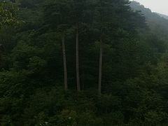 -玉渡山风景区-售票处