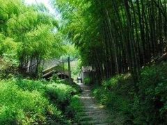 -会稽山峡洞漂流-上青古道