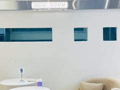 -怪兽屋·羊驼·猫咖·狗咖(俊华广场店)