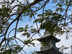 -博鳌禅寺