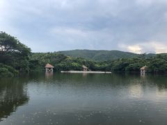 -清迈夜间动物园
