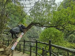 -蝶舞清江·恩施地心谷景区