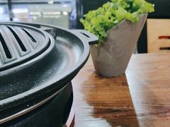 -青松大叔的店(东财店)