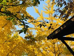 -北京水岸山吧度假村(雁栖镇店)