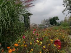 -白鹭湾湿地公园