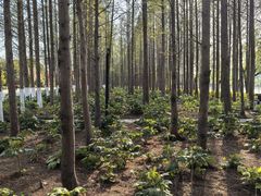 -云龙湖旅游景区