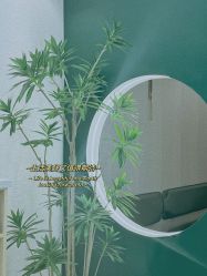 -水沐莲清瑜伽·普拉提