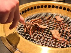 -谷牛和牛烤肉(漕河泾印象城店)