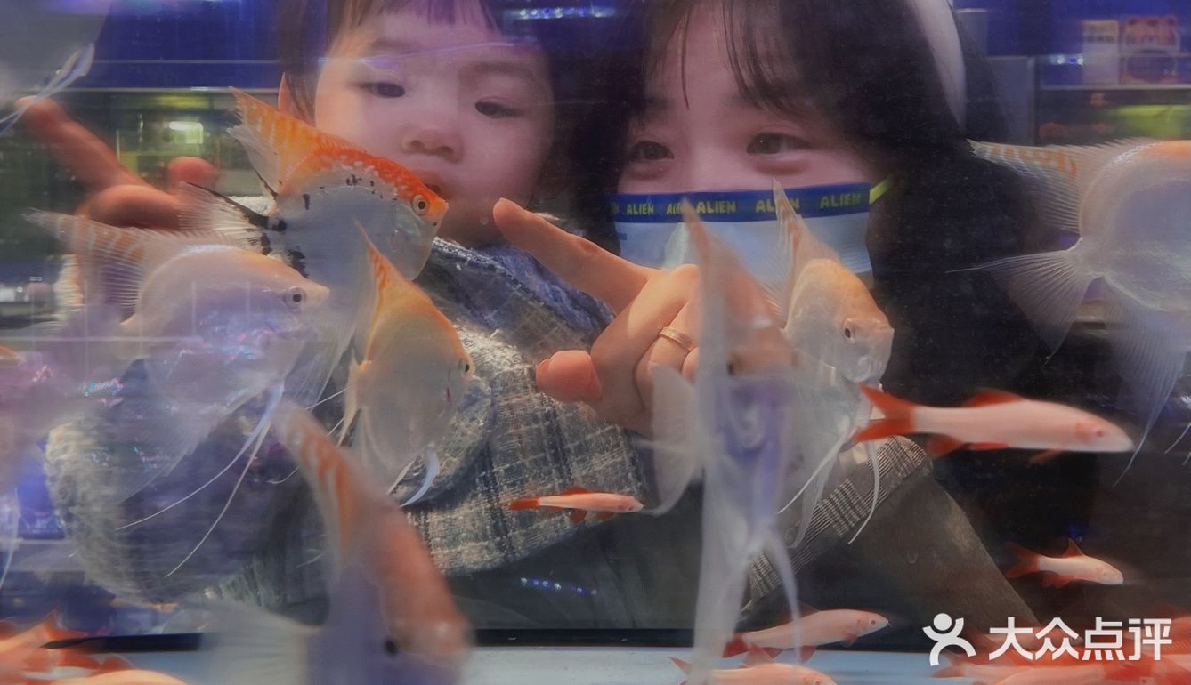 美林有个鱼世界