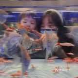 美林有个鱼世界