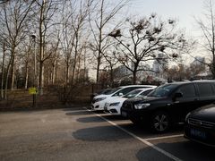 -奥林匹克森林公园北园-停车场