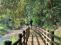 -广州市石门国家森林公园