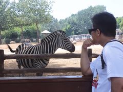 -大连森林动物园