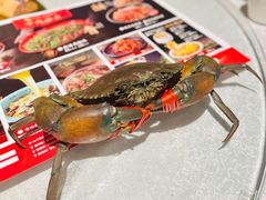 -川味里•商务宴请•团建聚餐(清湖店)