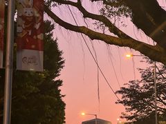 -亚利咖喱屋
