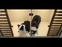 -宠物之家Pets Home 宠物寄养酒店