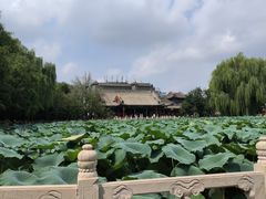 -莲池书院博物馆