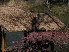 -慧因高丽寺