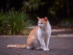 -苏州河梦清园环保主题公园