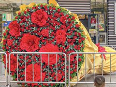 -金铂广场(龙归店)