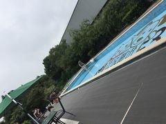 -汪说喵讲宠物乐园宠物酒店(红星美凯龙店)