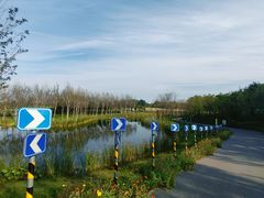 -东郊湿地公园