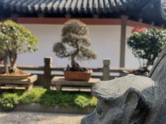 -西林禅寺