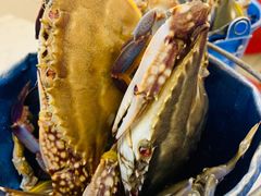 -澜悦港海鲜体验主题餐厅