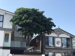 -磻溪渡口