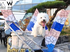 -西安W酒店·观湖露台 美式烧烤