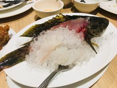 -Isla Sugbu Seafood City