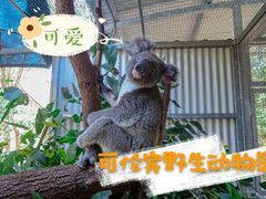 -可伦宾野生动物保护区