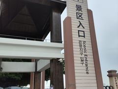 -大湾区中央湿地公园