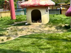 -合肥滨湖国家森林公园