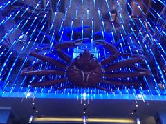 -蟹之国·精品蟹料理(极地店)