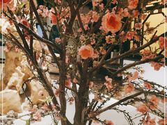 -九朝会昆曲·宴(望京店)