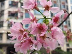 -厦门市图书馆(集美新城馆区)