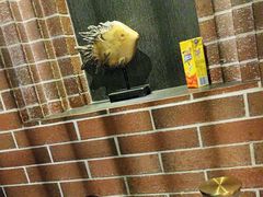 -永安鱼庄·镇江菜(东吴路店)