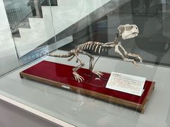 -中国第四纪冰川遗迹陈列馆