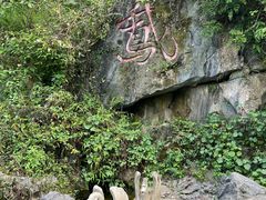 -靖西鹅泉风景区