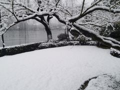 -浙江西子宾馆·瑶园咖啡厅